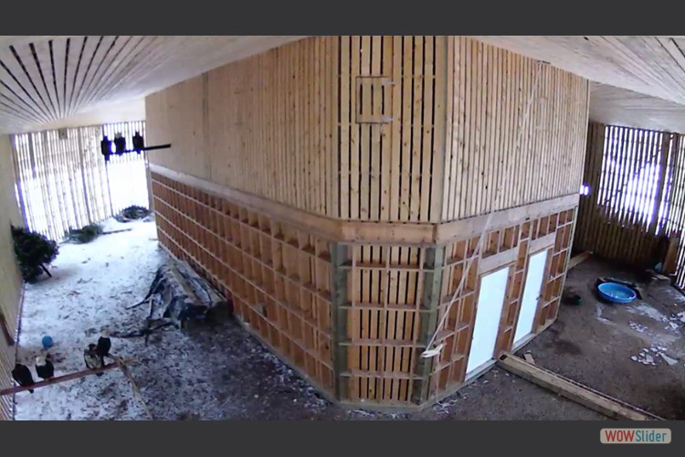 eagle-flight-cage-B3