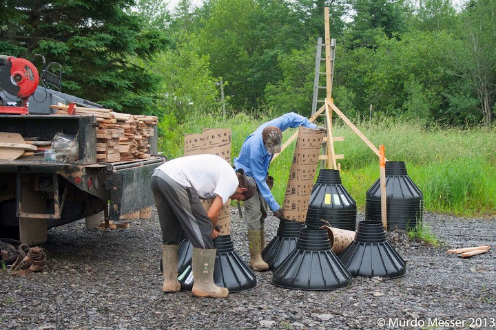 Cobequid Wildlife Rehab Centre