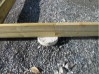 21-framing-the-deck