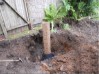 8-partially-backfilled