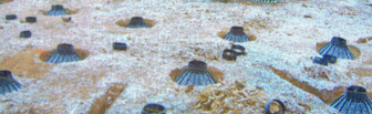 Bigfoot Systems® footing forms